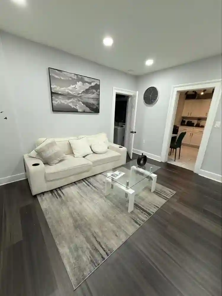 Looking for a roommate
