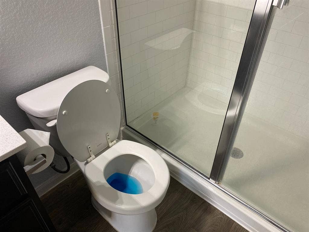 3 BR in Austin