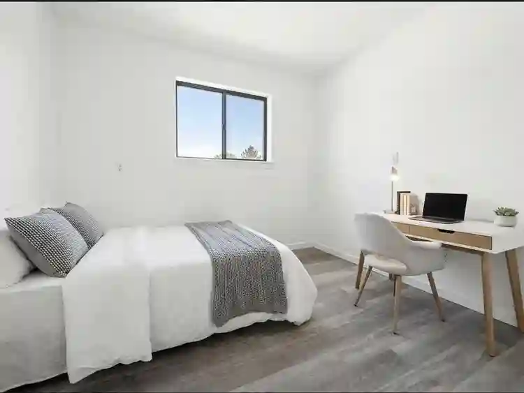 Roommate needed