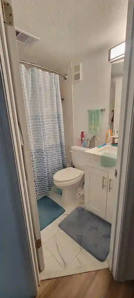 New female roommate for 3 bedroom