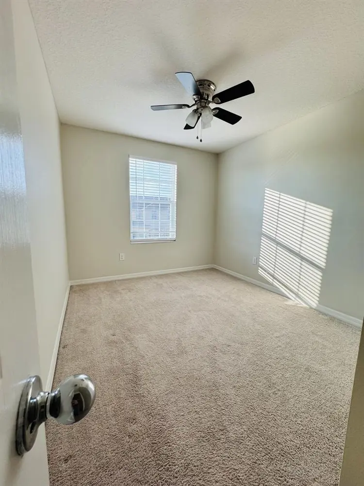 Roommate wanted