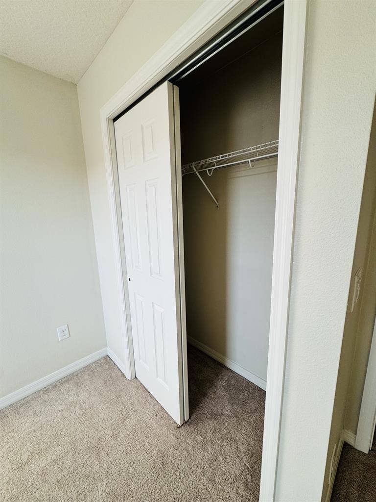 Roommate wanted