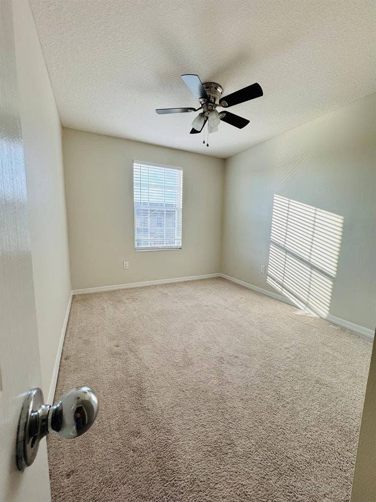 Roommate wanted