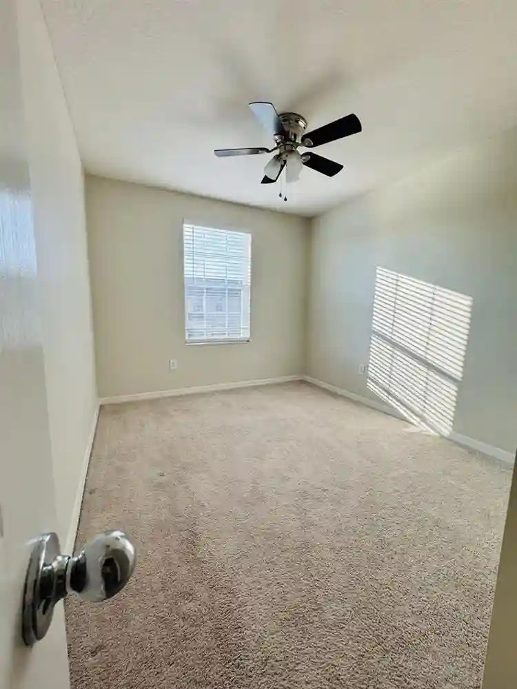 Roommate wanted