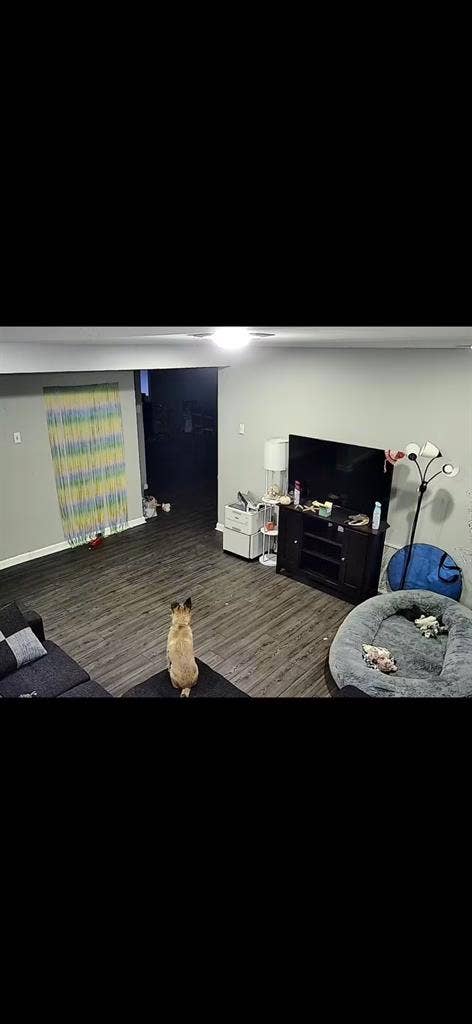 Room for rent in phoenixville