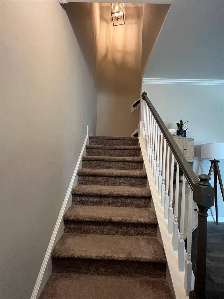 3 BR in Raleigh