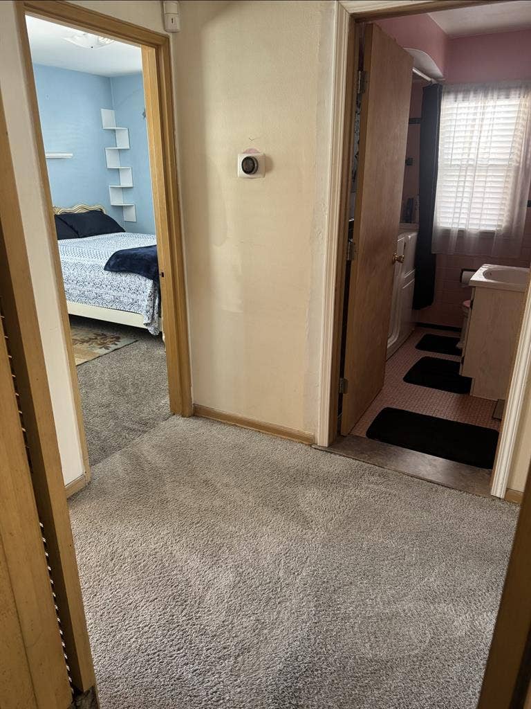 Roommates Wanted