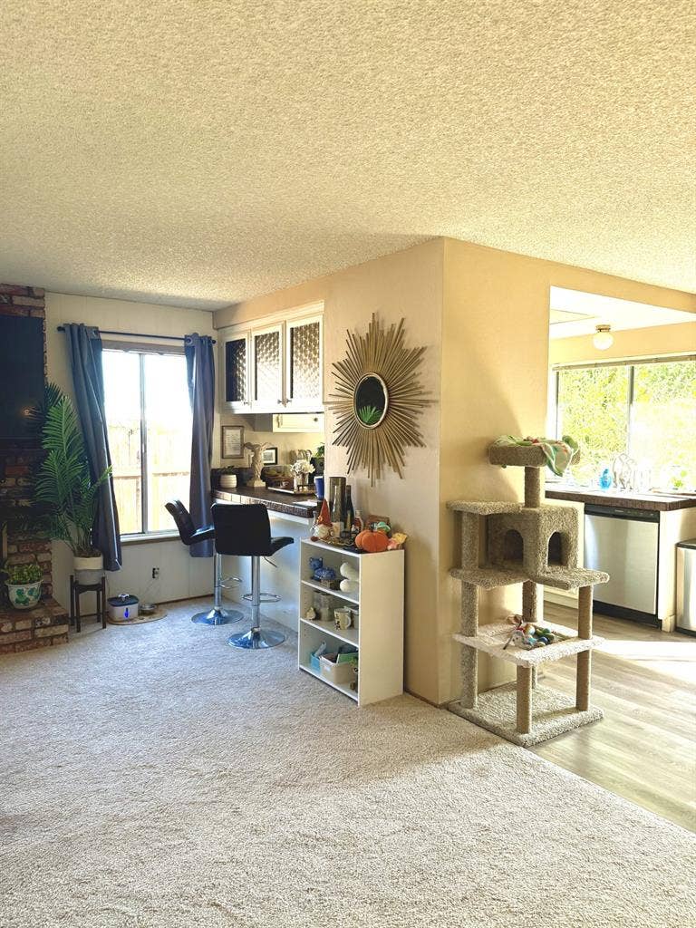 Roommates for female household