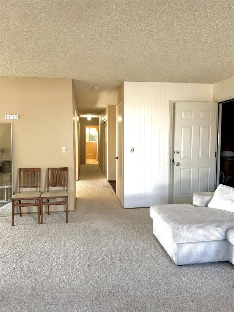 Roommates for female household
