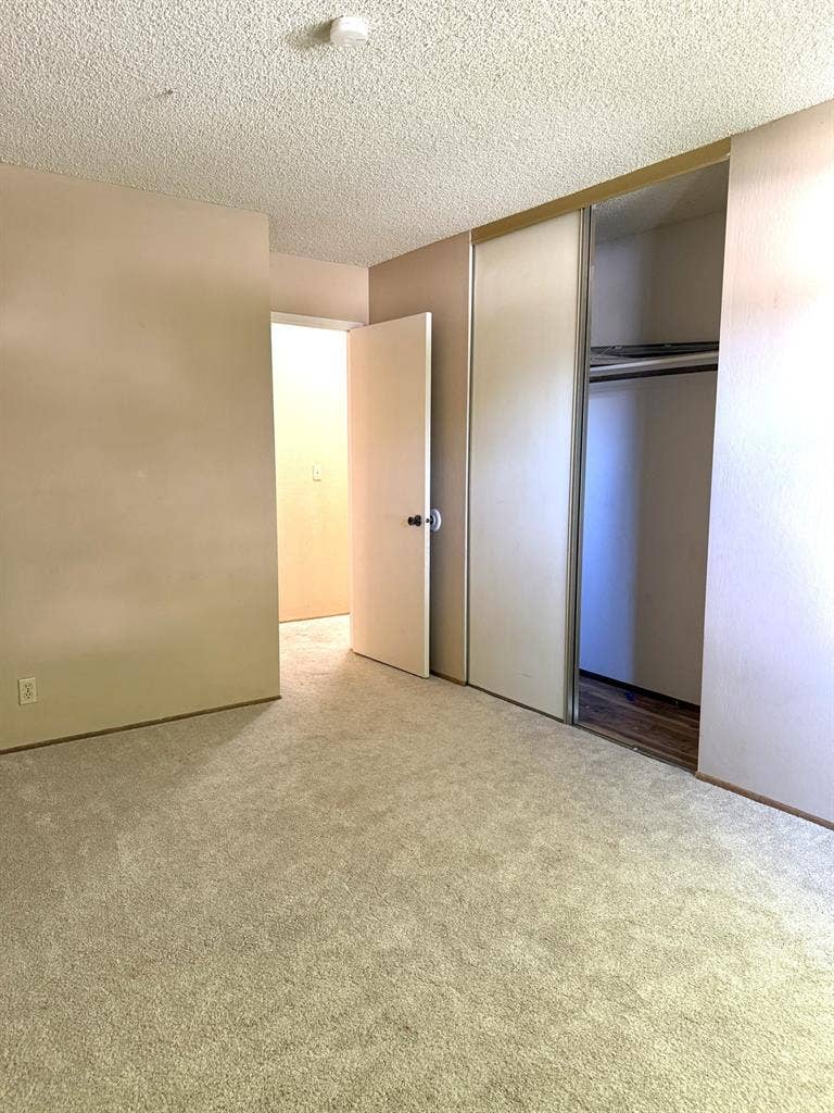 Roommates for female household