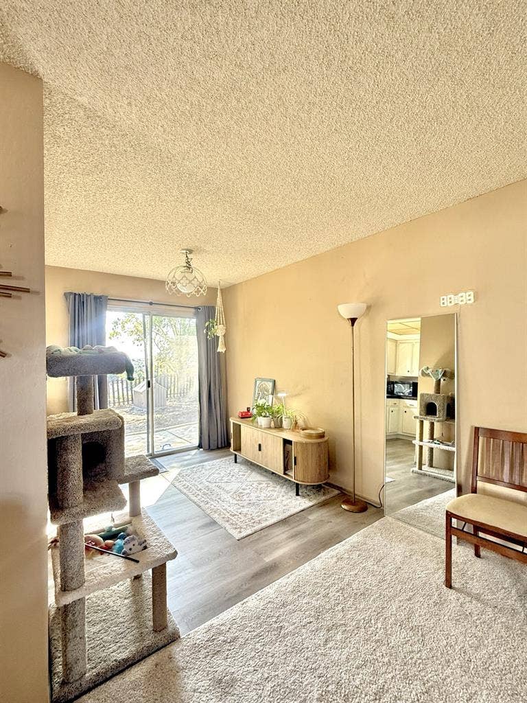Roommates for female household