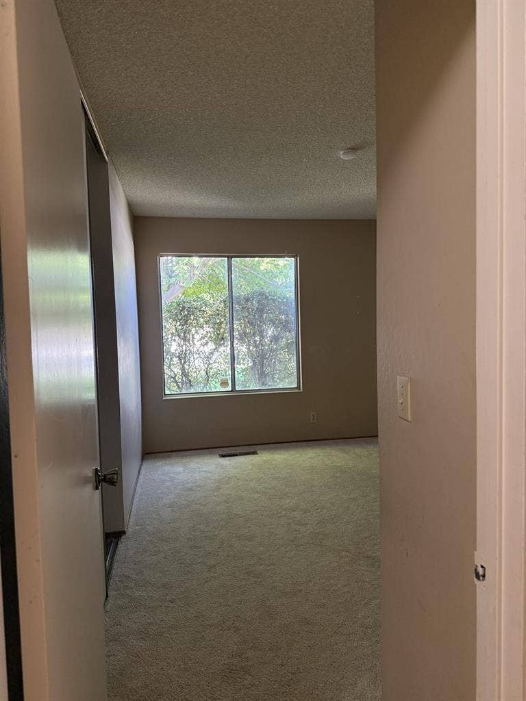 Roommates for female household