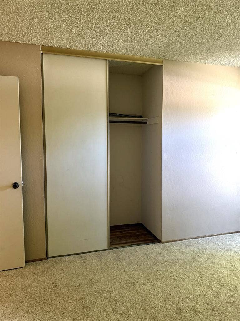 Roommates for female household
