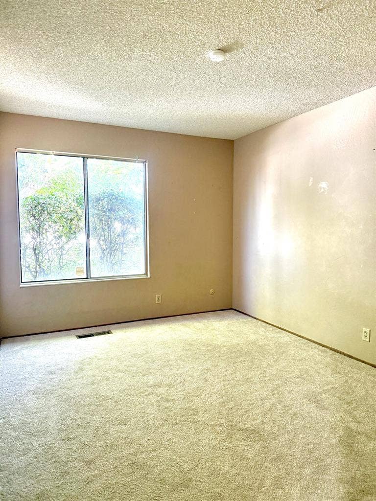 Roommates for female household