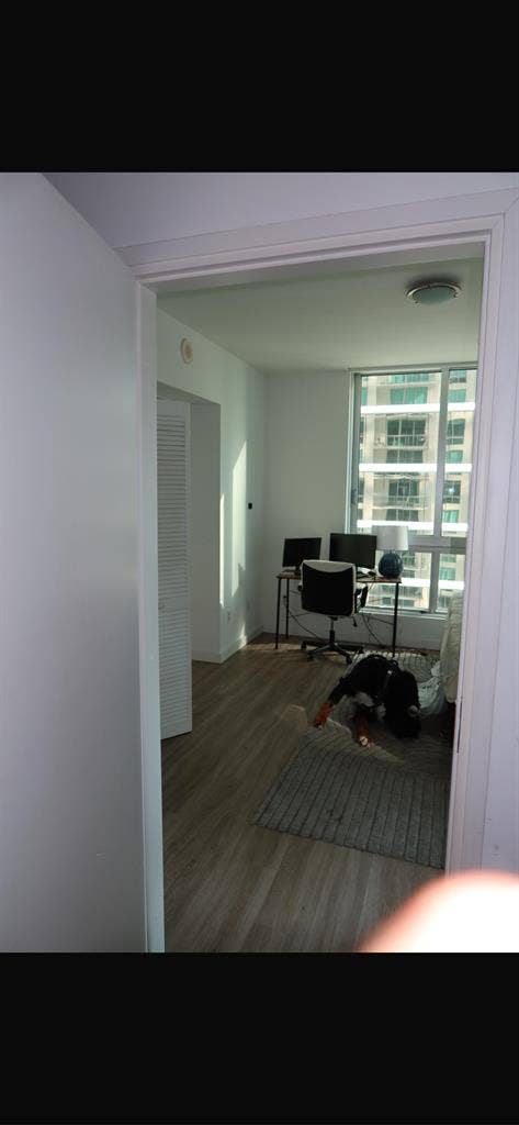 Looking for a Roomate brickell!
