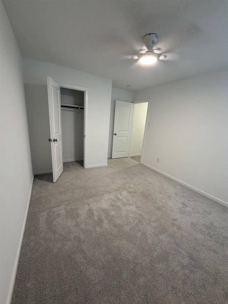Single room for rent