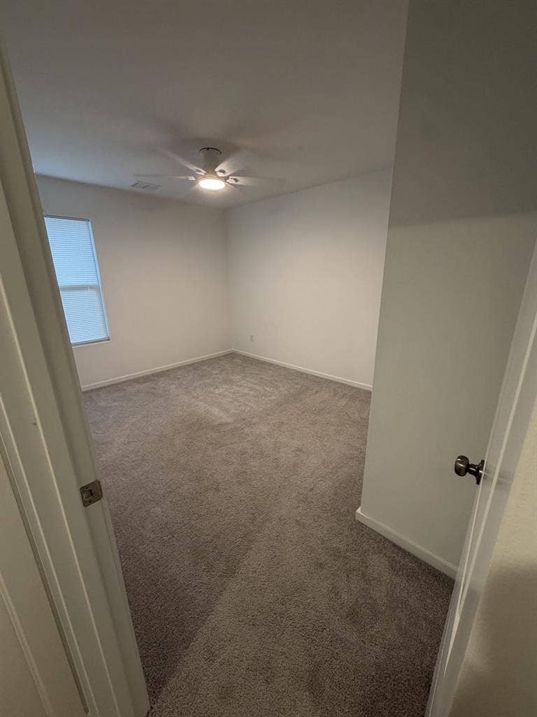 Single room for rent
