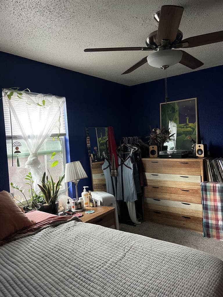 roommate wanted in quirky apt