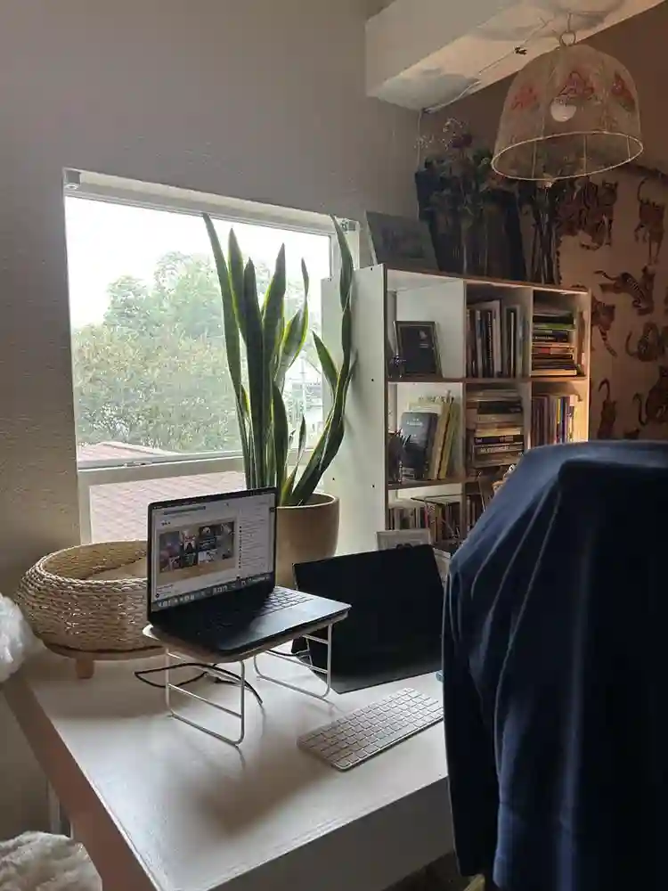 roommate wanted in quirky apt