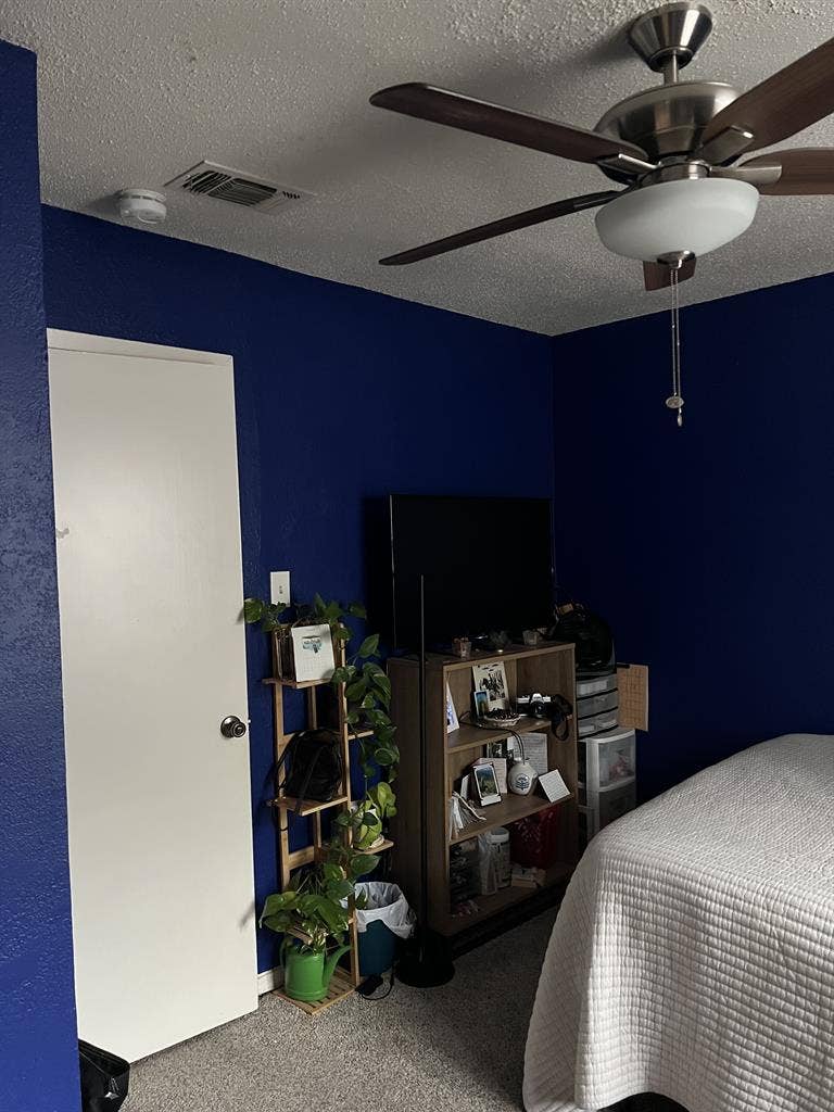 roommate wanted in quirky apt