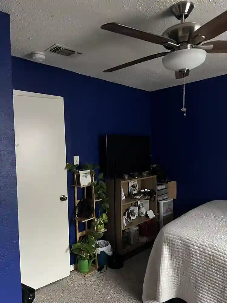 roommate wanted in quirky apt