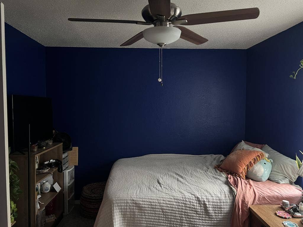 roommate wanted in quirky apt