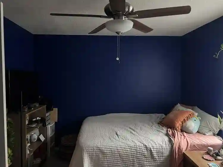 roommate wanted in quirky apt