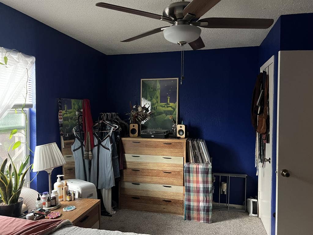 roommate wanted in quirky apt