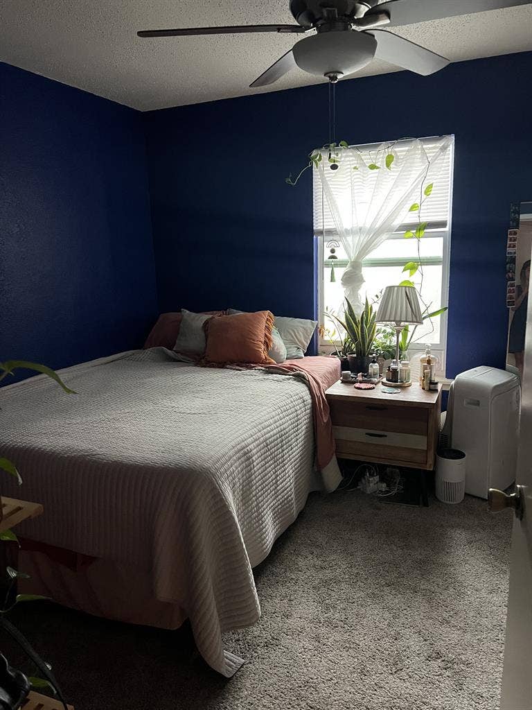 roommate wanted in quirky apt