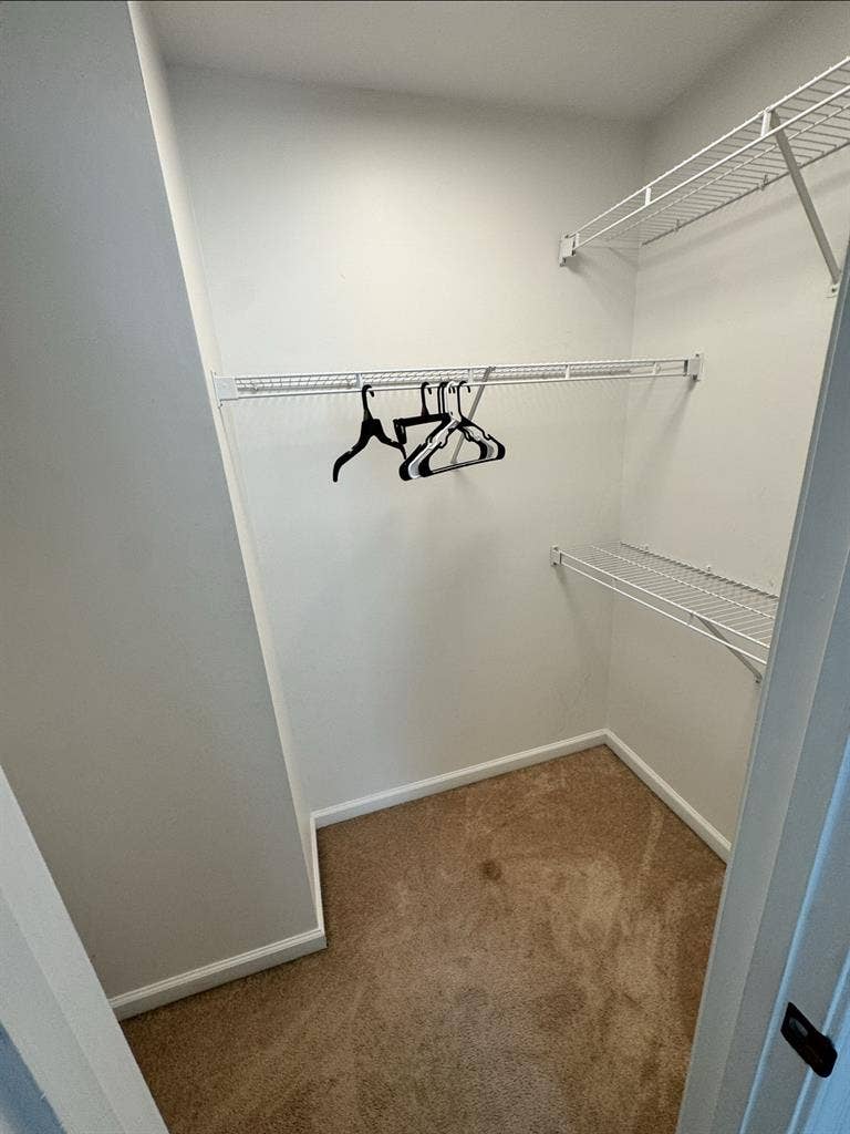 Buford room for rent