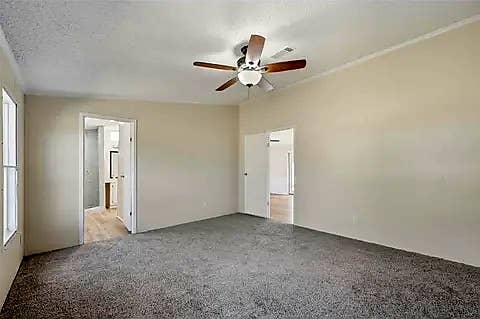 Looking for A Roommate