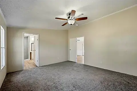 Looking for A Roommate