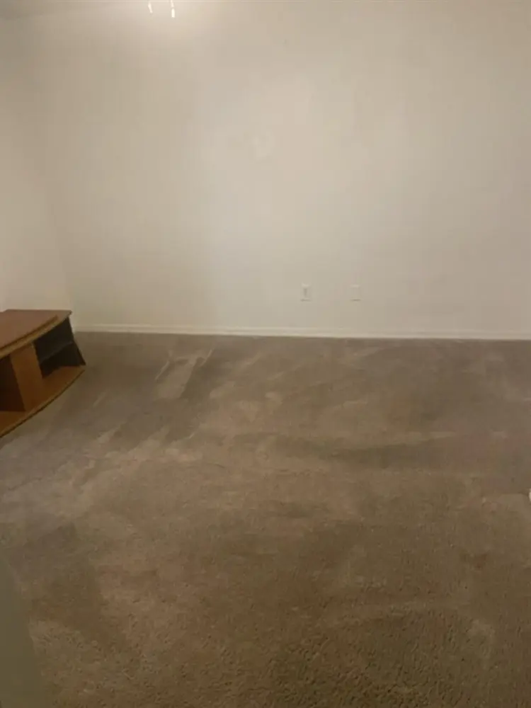 Needing a roommate
