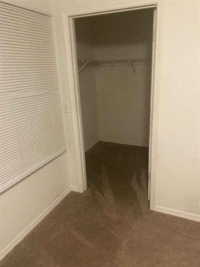 Needing a roommate