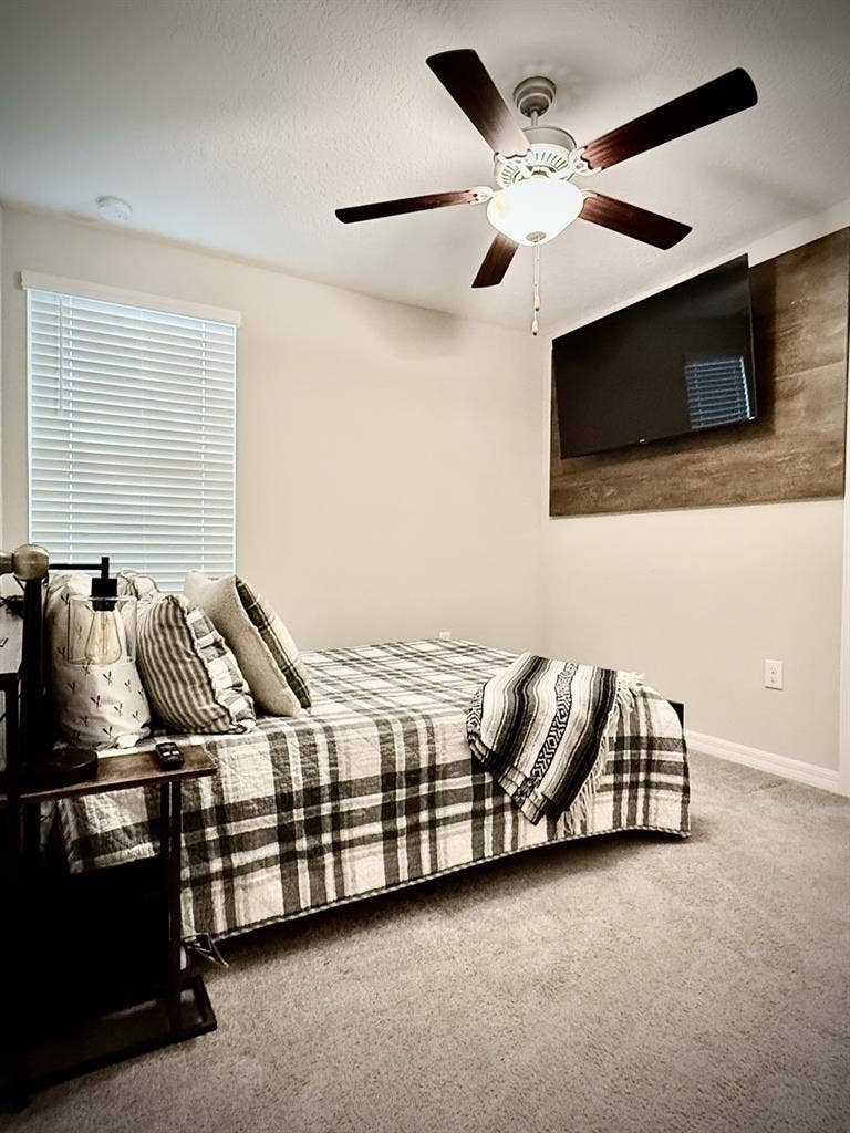 Professional clean renter wanted