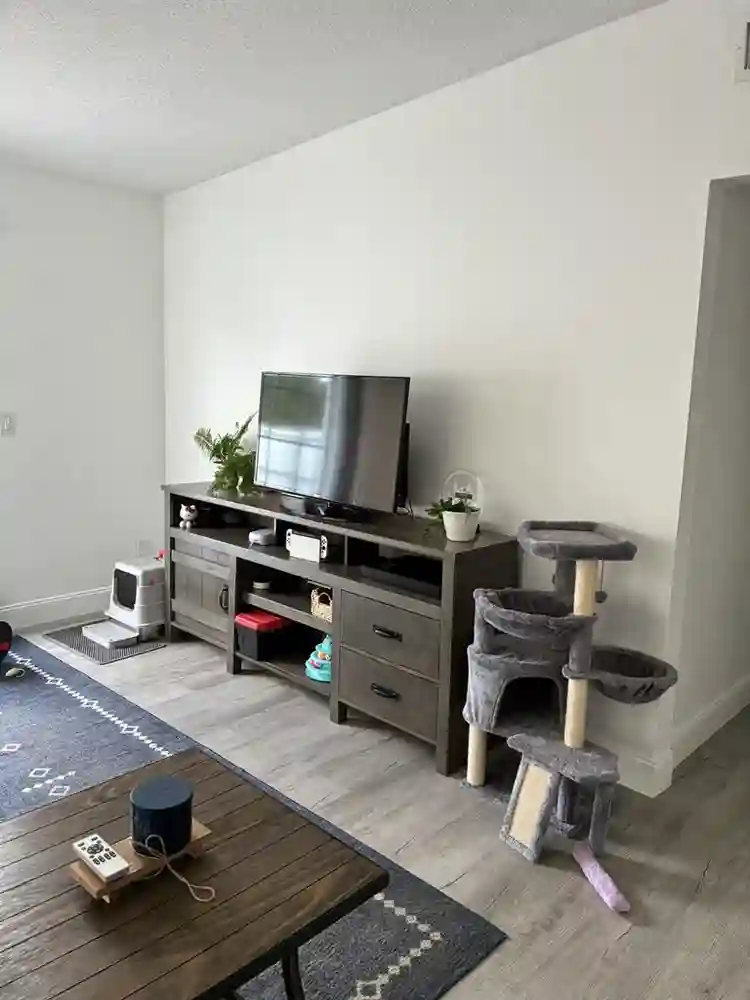 Looking for roommate- 10 months!