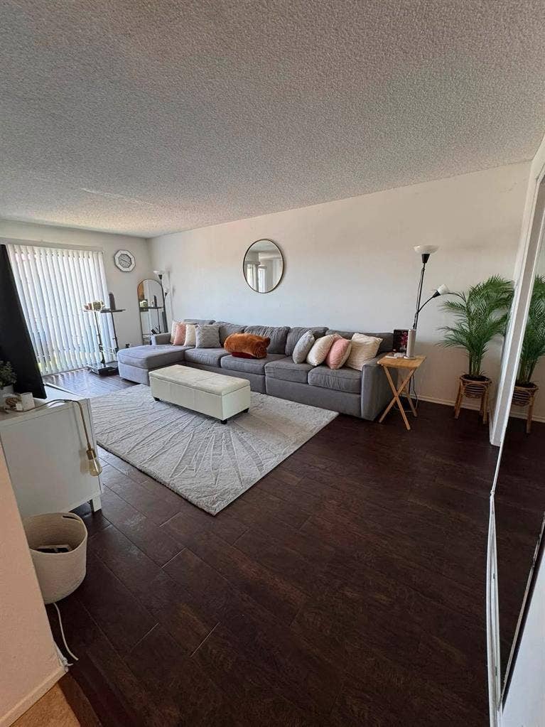 Looking for a Female Roomate