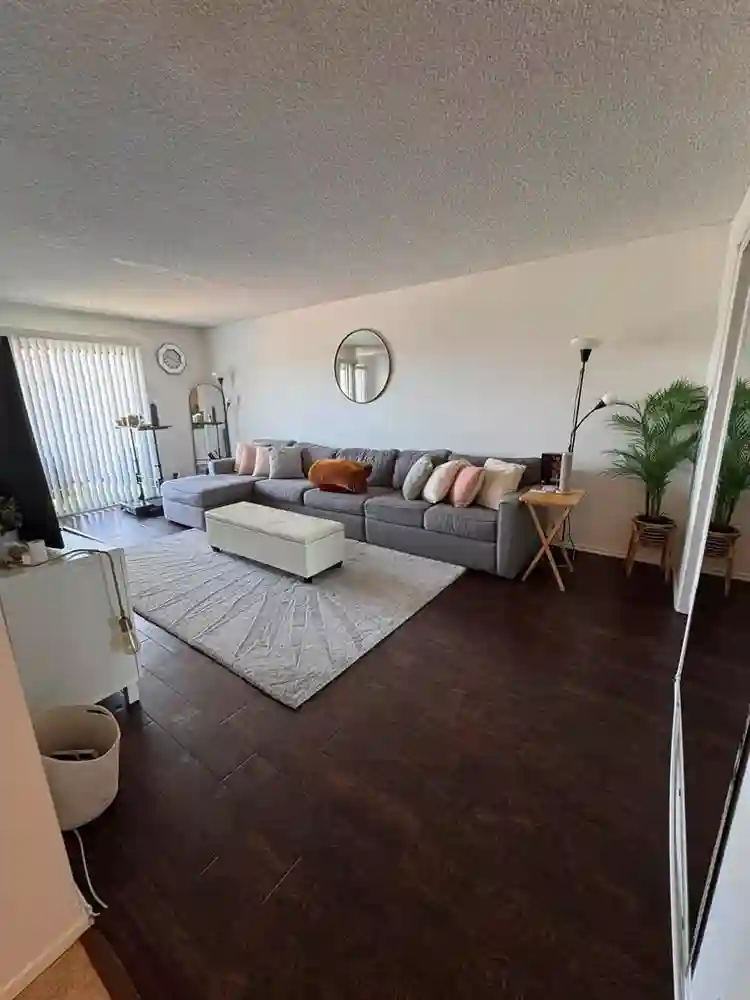 Looking for a Female Roomate