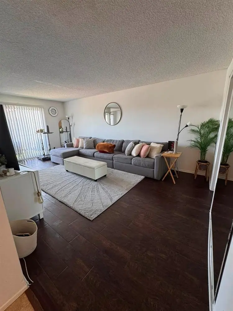 Looking for a Female Roomate