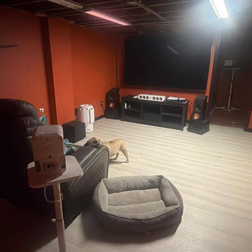 Housemate needed ASAP