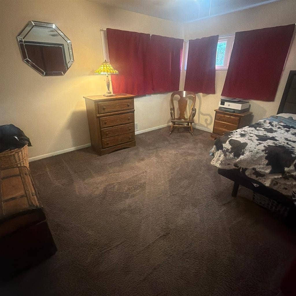 Housemate needed ASAP