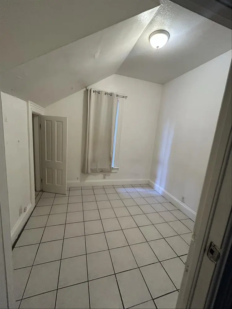 😻 Cat friendly private room