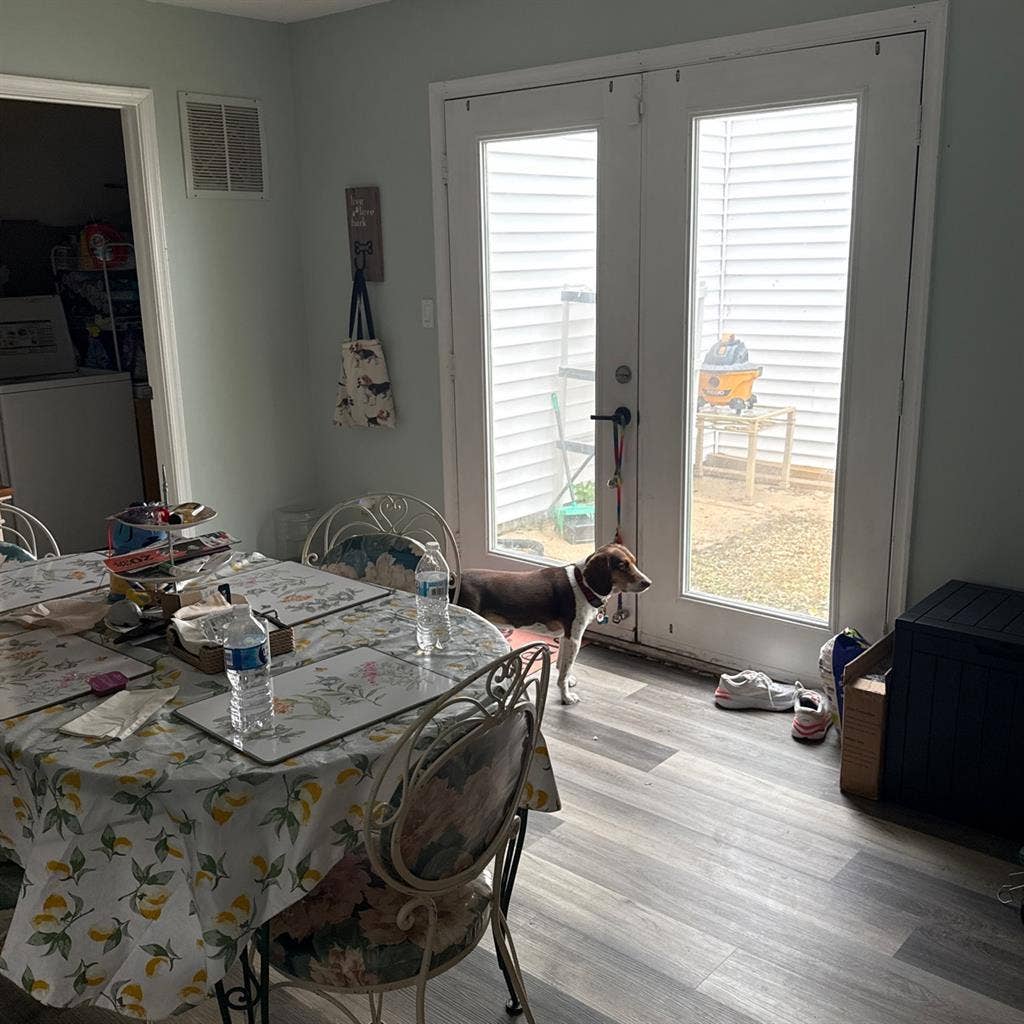 Looking for a roommate