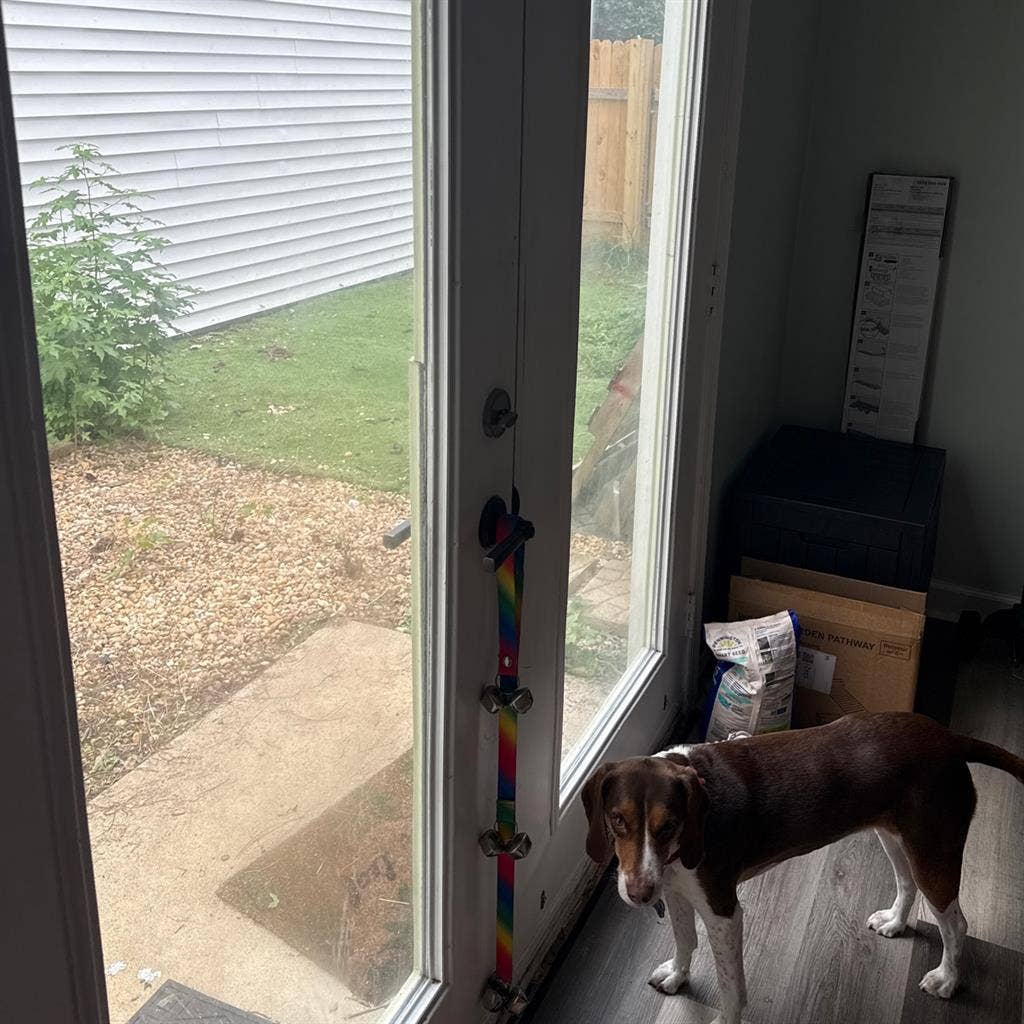 Looking for a roommate