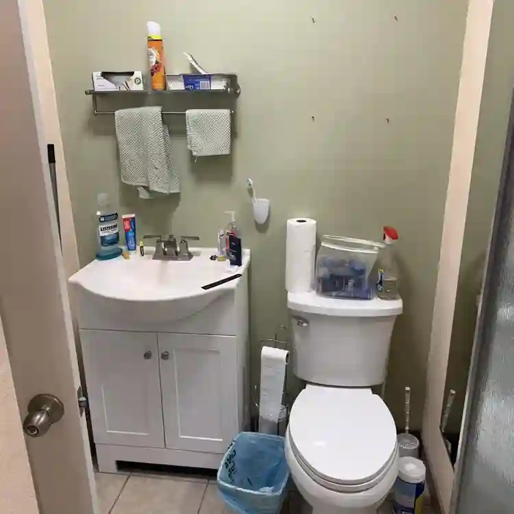 Looking for a roommate