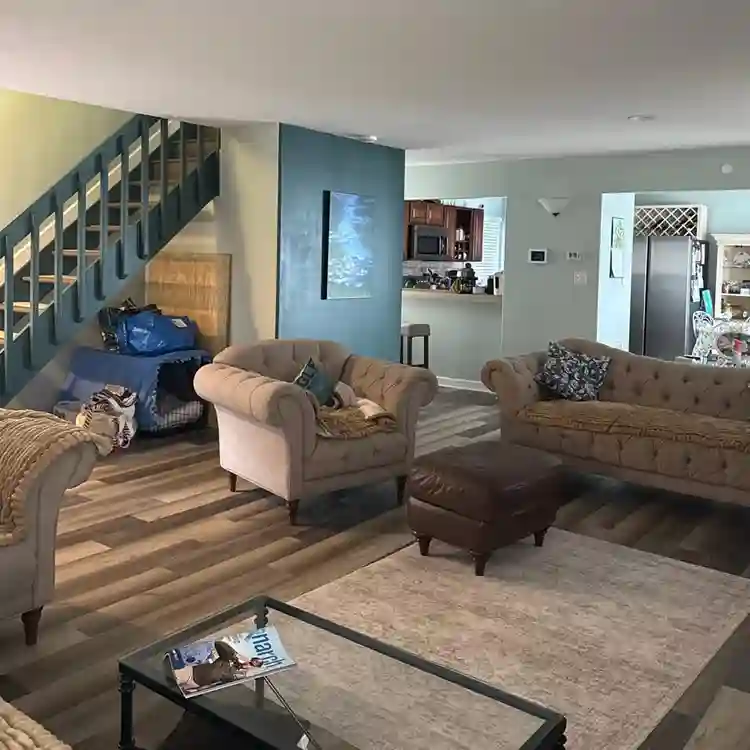 Looking for a roommate