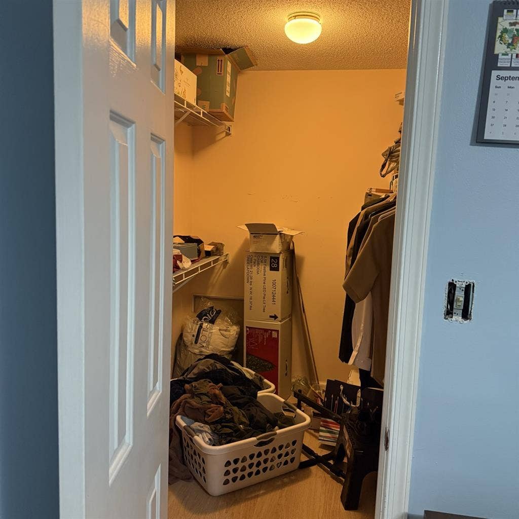 Looking for a roommate