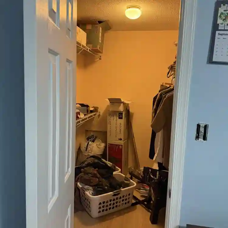 Looking for a roommate