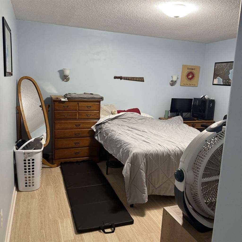 Looking for a roommate