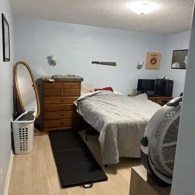 Looking for a roommate